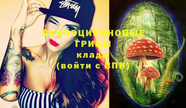 spice Алзамай