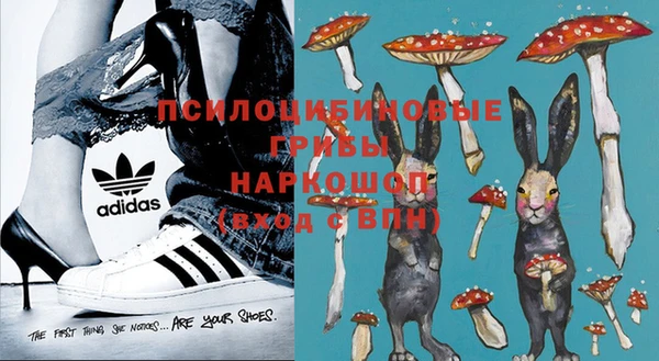 PSILOCYBIN Алексин