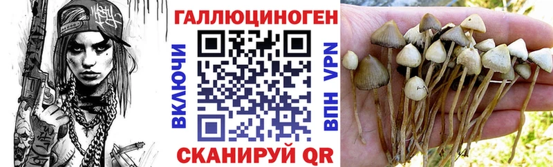 Галлюциногенные грибы Psilocybine cubensis  Жуковский 