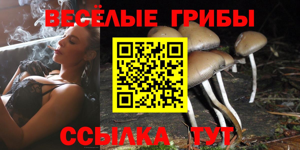 Галлюциногенные грибы Cubensis  Вход с VPN  Жуковский 