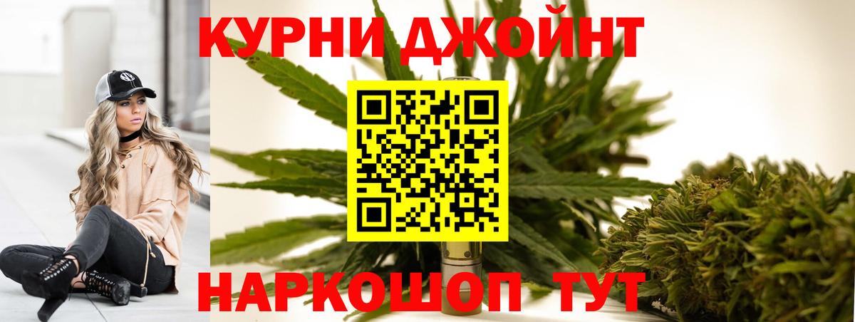 Каннабис сатива Жуковский